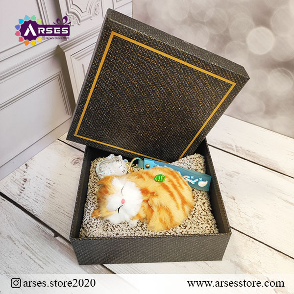 باکس گربه صدادار