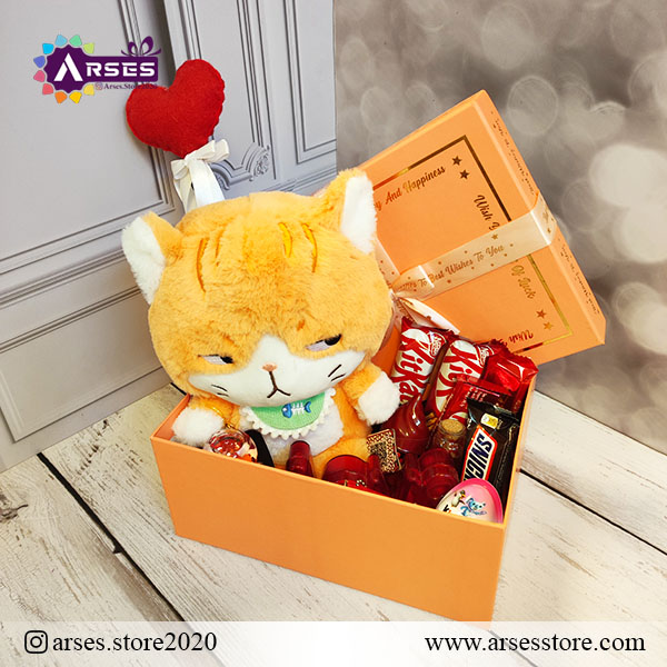 پک عروسک گربه اخمو