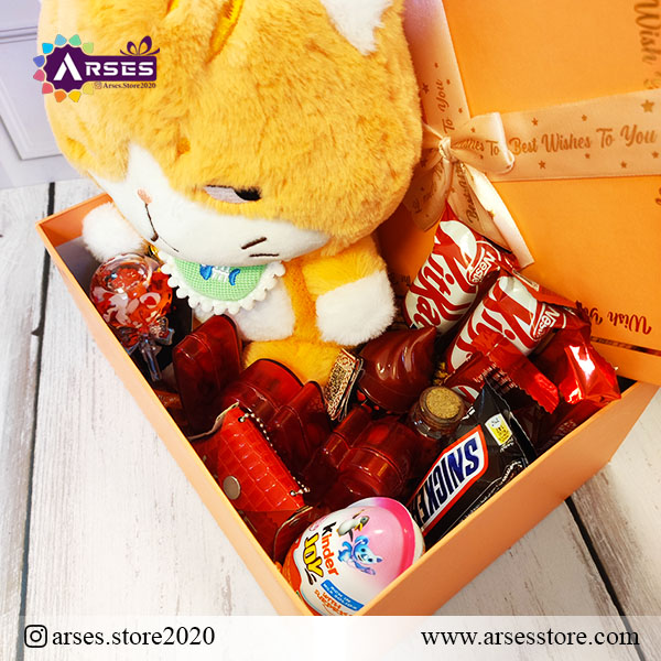 پک عروسک گربه اخمو2