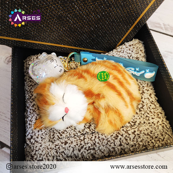 باکس گربه صدادار2